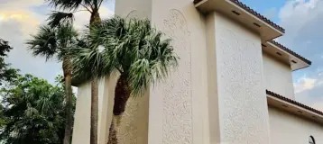 Wave Dental
