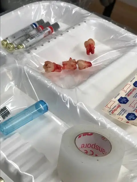 Excellence in Dentistry