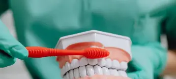 Immediate Dental Help