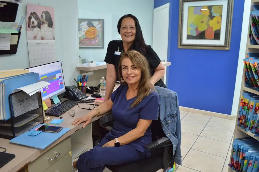 The Dental Group