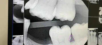 AA Dental Associates