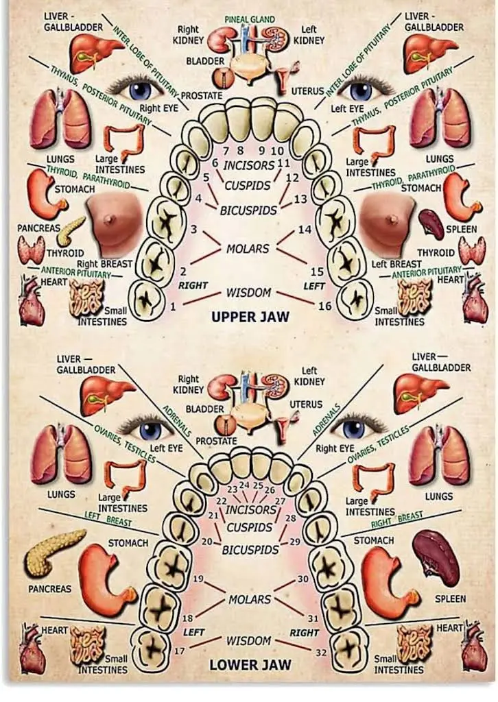 GreenEwe Dental