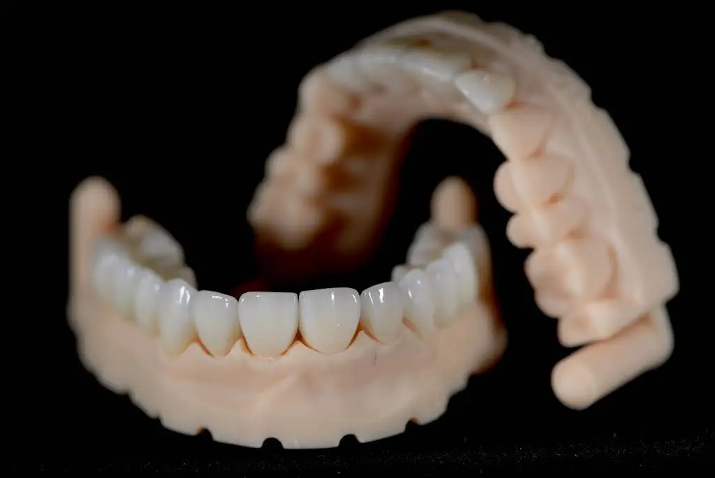 The Green Dental Studio