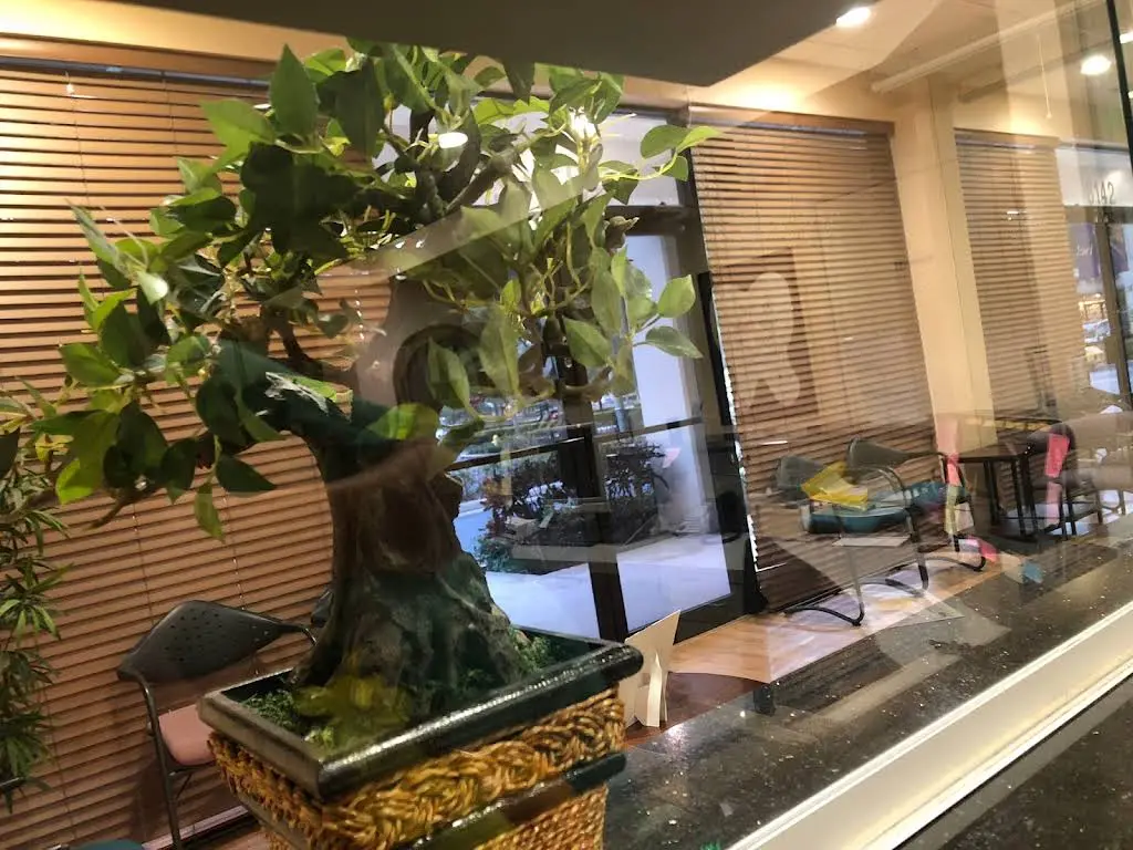 Plantation Dental