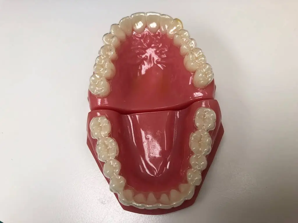 Plantation Dental