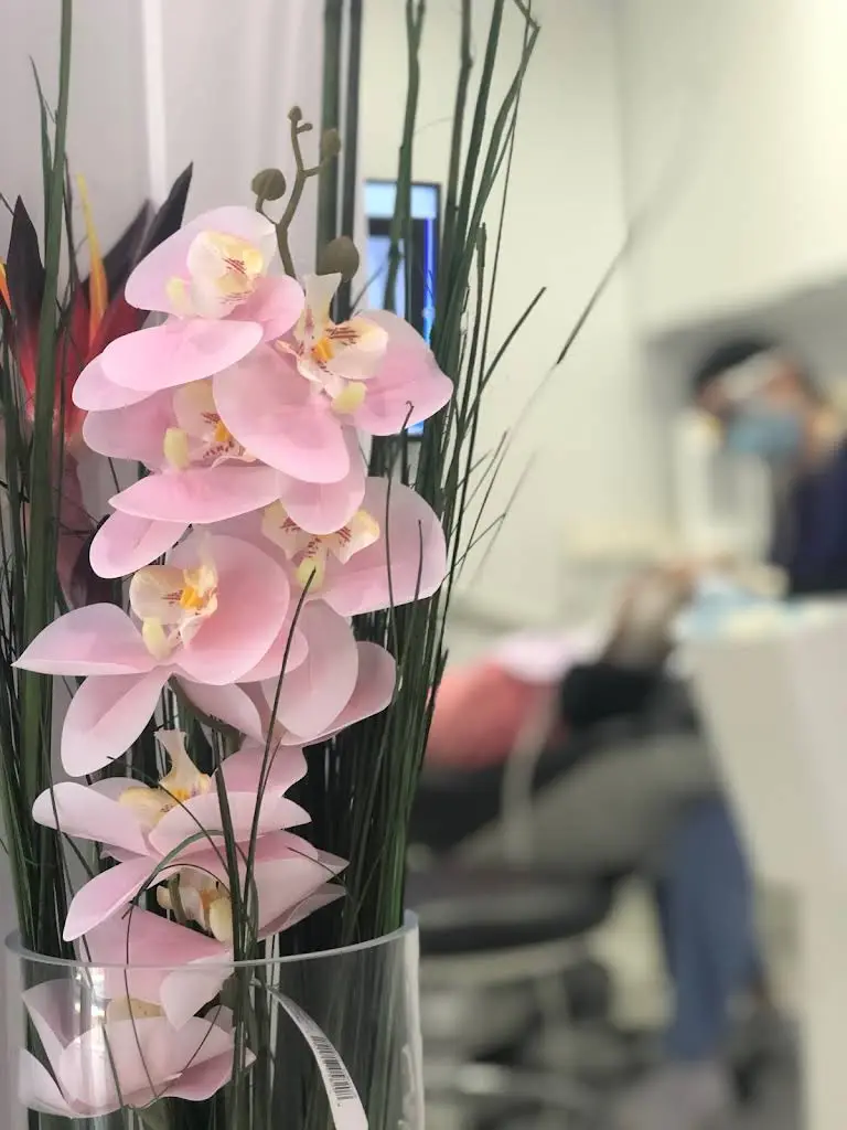 Dentistry at Serenity Cove