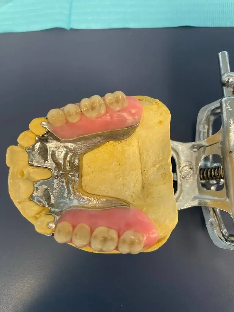 True Dentistry Plus