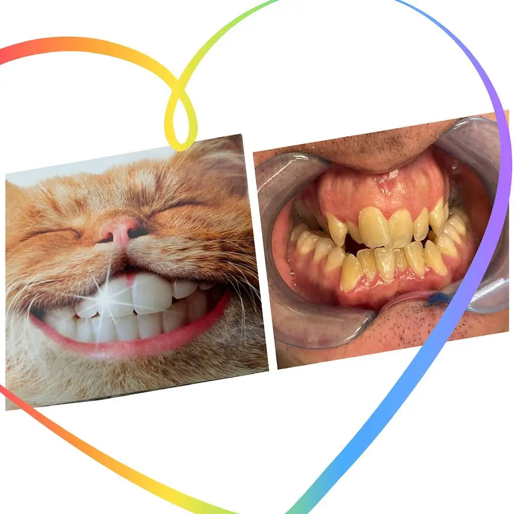 True Dentistry Plus