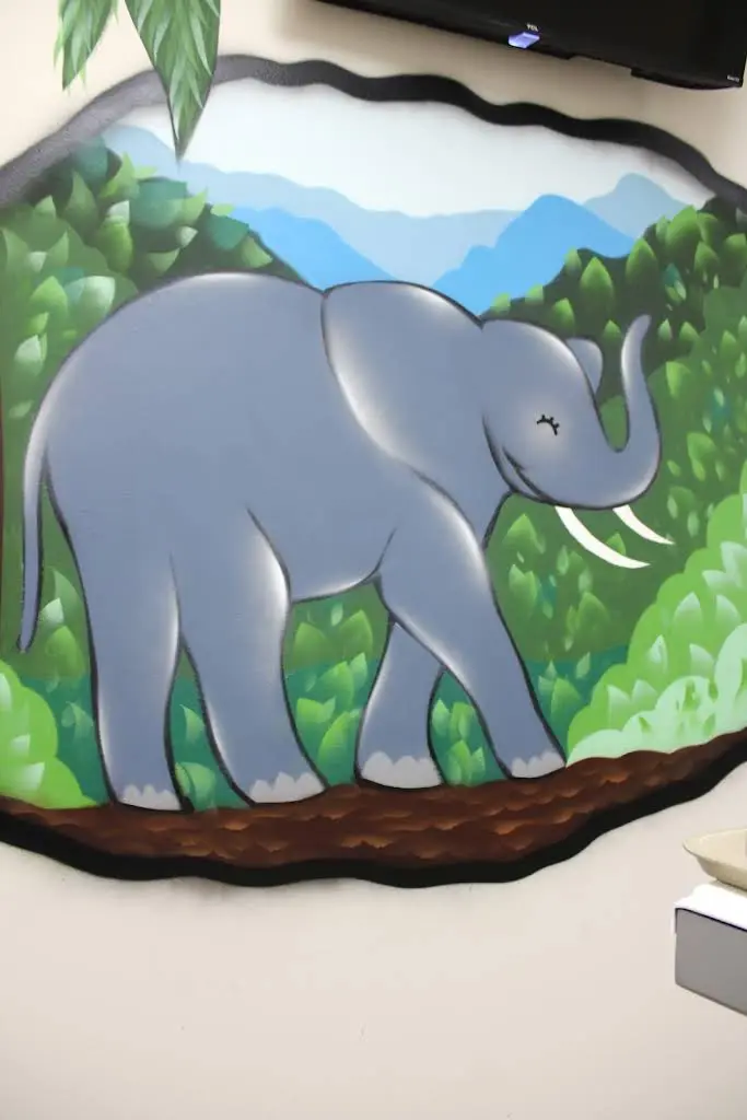 Pines Pediatric Dentistry & Orthodontics