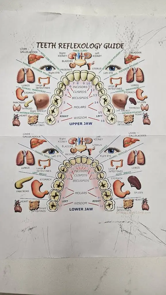 Our Holistic Dentistry