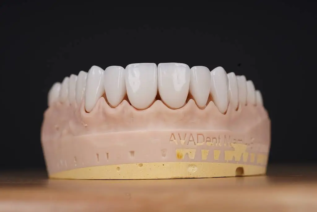 AVADent Miami