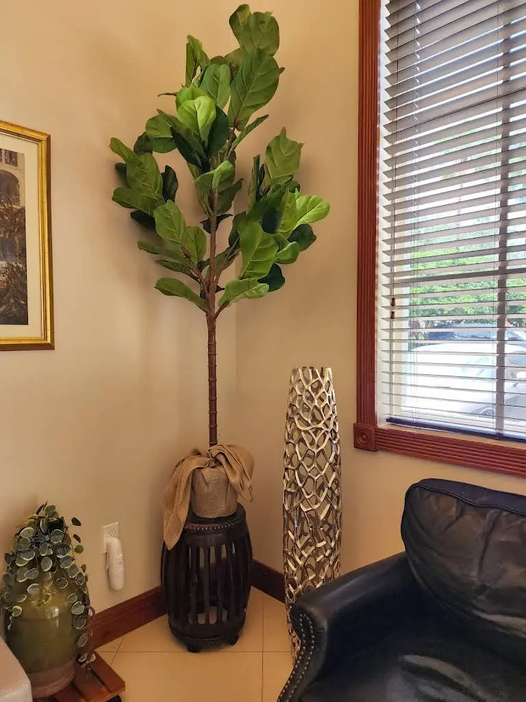 Allure Smile Center