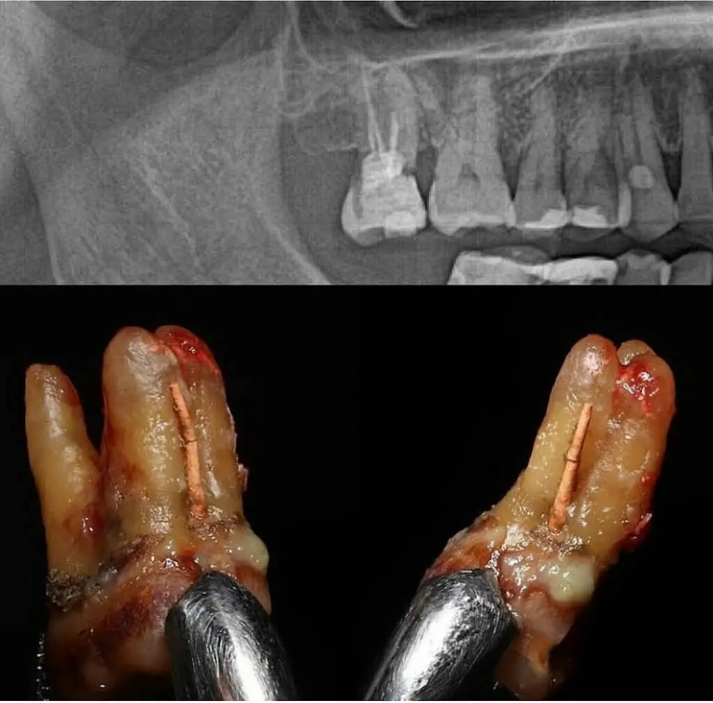 Northwest Dental Center corp