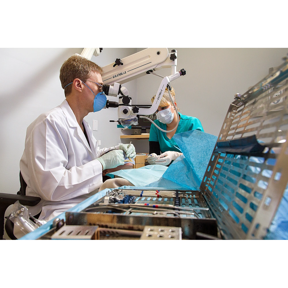 Elite Endodontics Miami - Sayman Danni DDS