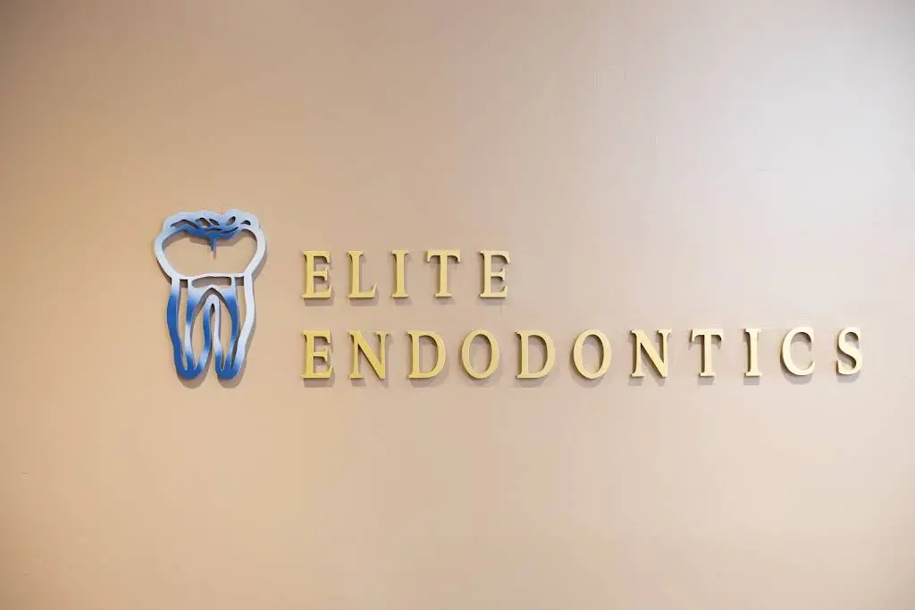 Elite Endodontics Miami - Sayman Danni DDS
