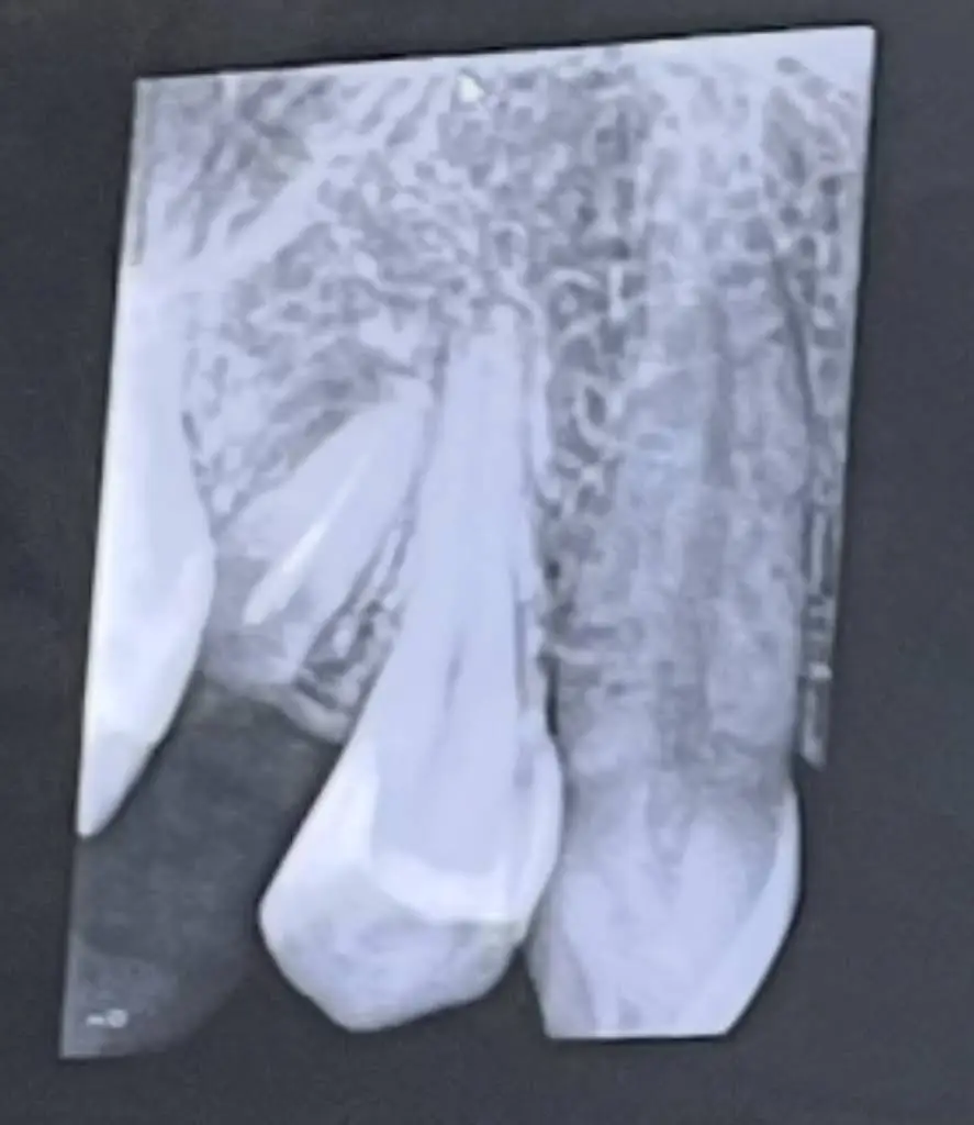 South Florida Dental Care