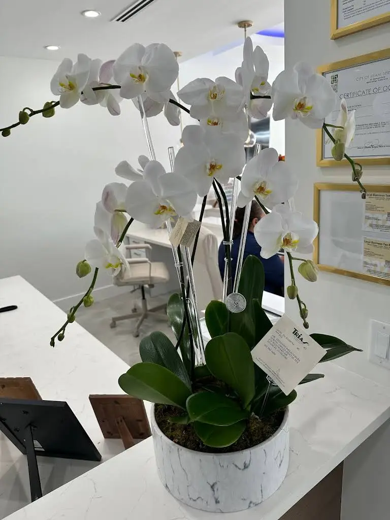 Springs Smiles Dental Spa