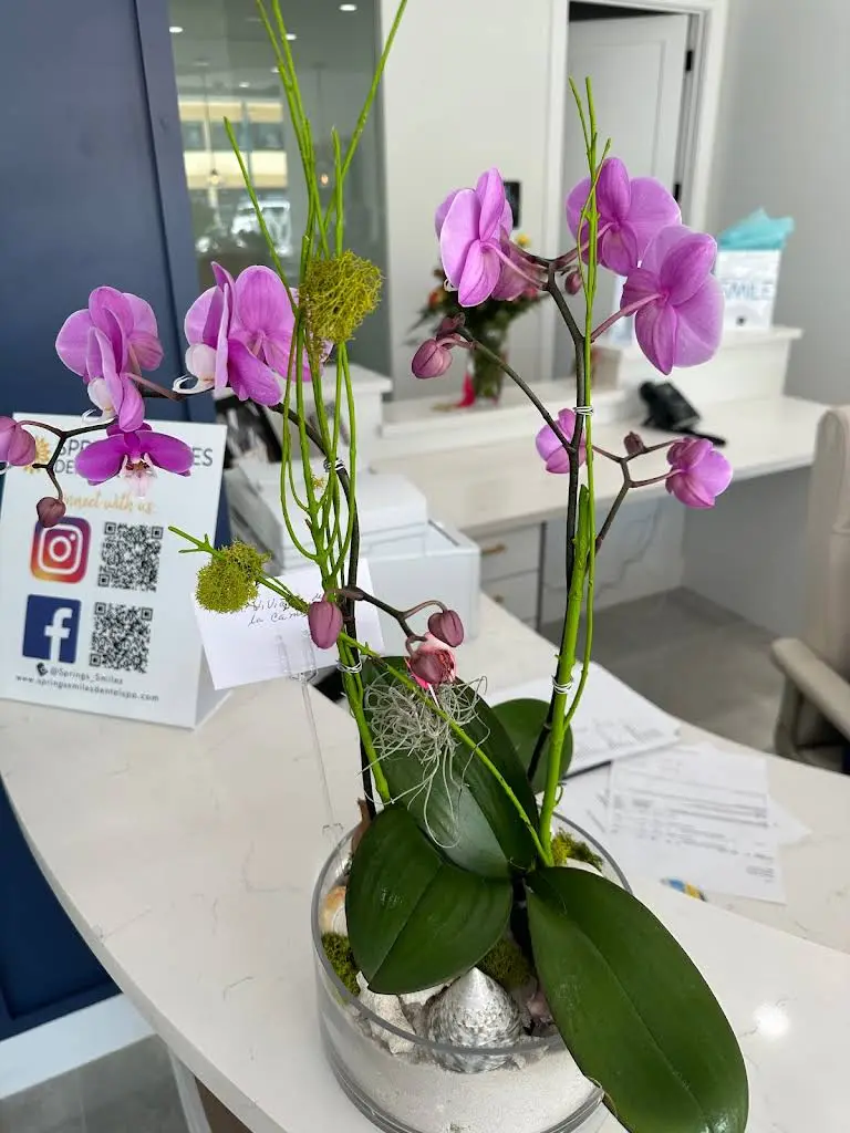 Springs Smiles Dental Spa