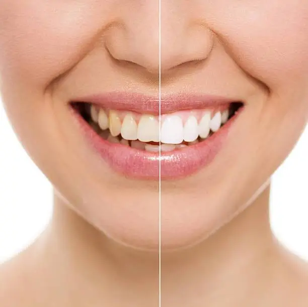 Alpha Dental Designs