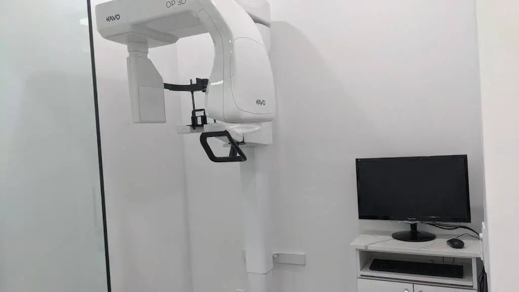 POLPA DENTAL