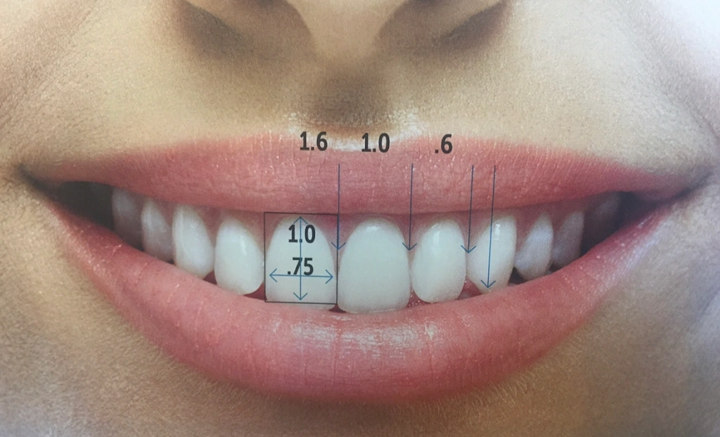 Dr. Rita The Smile Designer