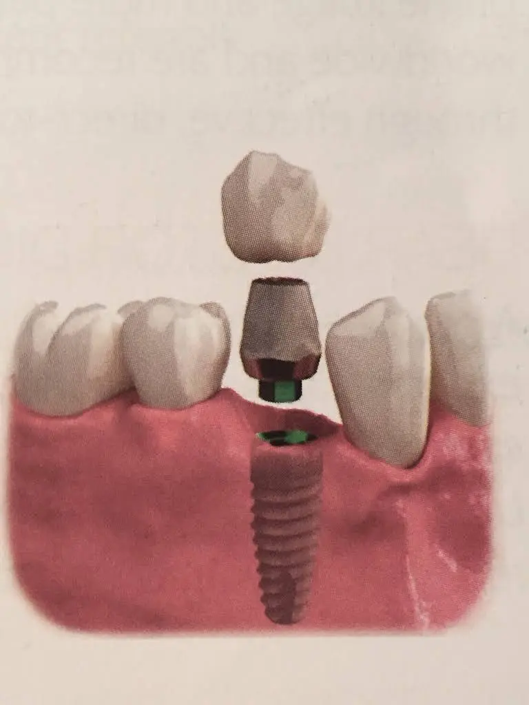 Dr. Rita The Smile Designer
