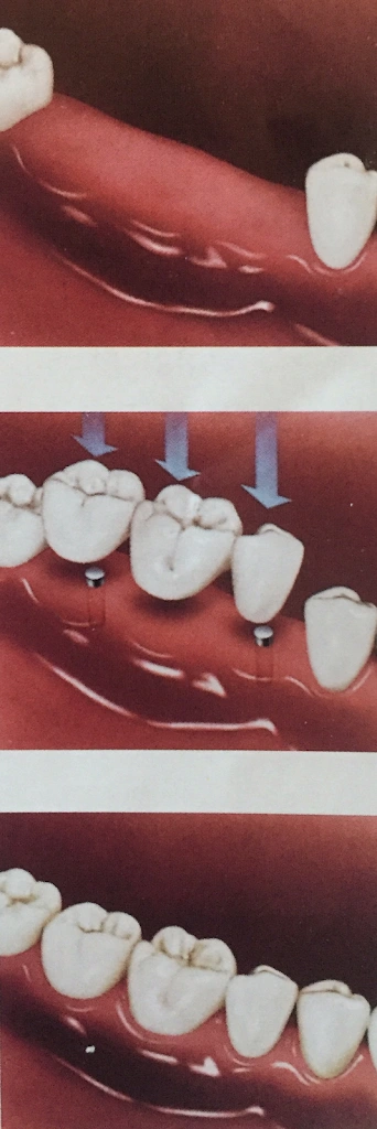 Dr. Rita The Smile Designer