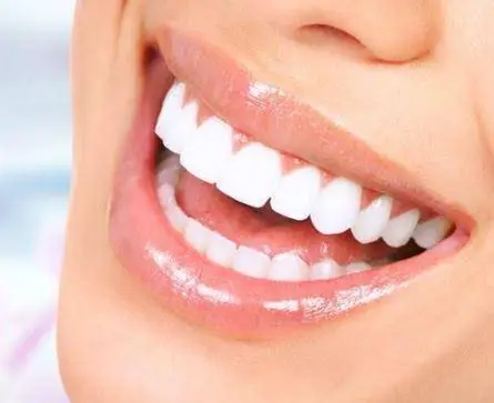 305 Dentistry