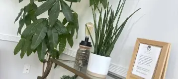 Tea Tree Dental