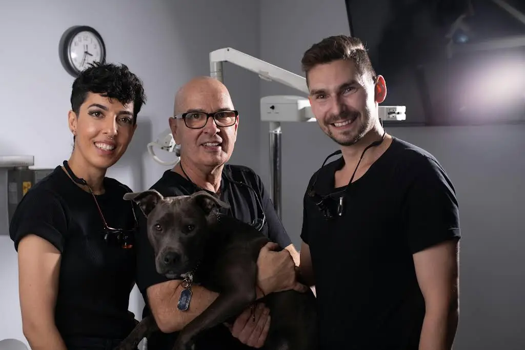 MINÉMAL DENTAL