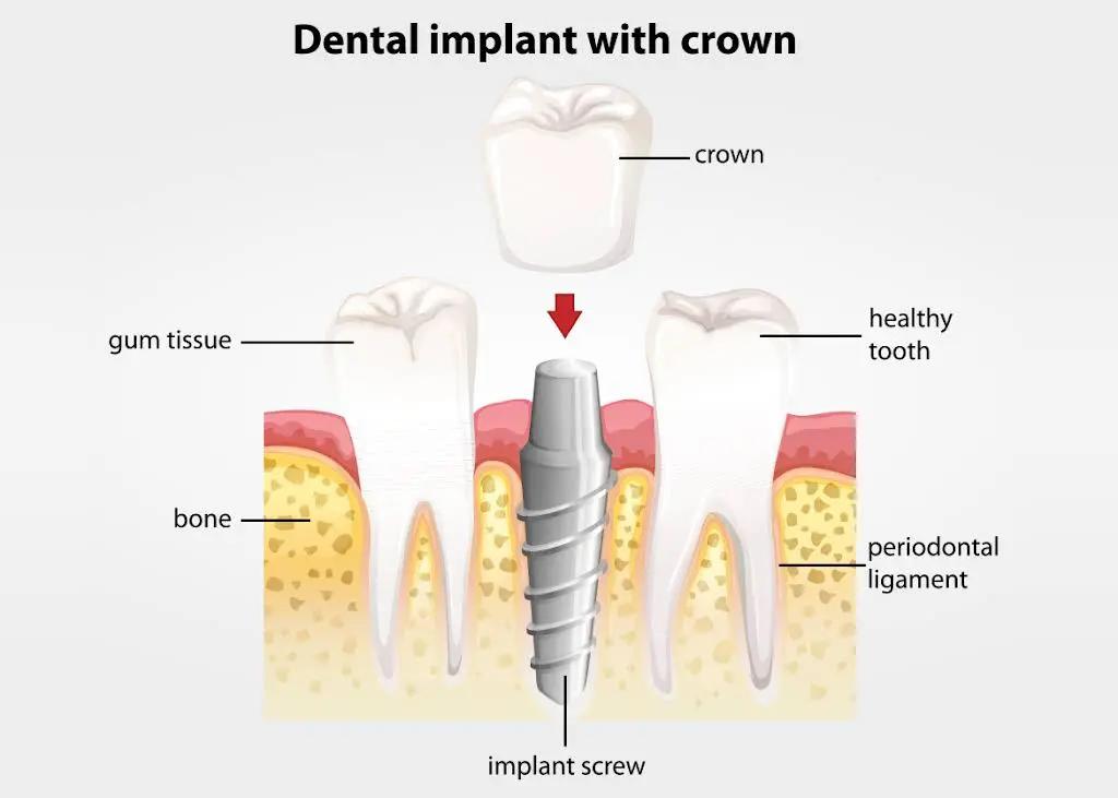 Todd Barsky DDS, FACP