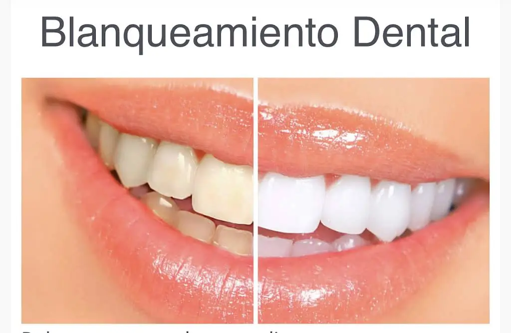 Apollonia Dental Services LLC