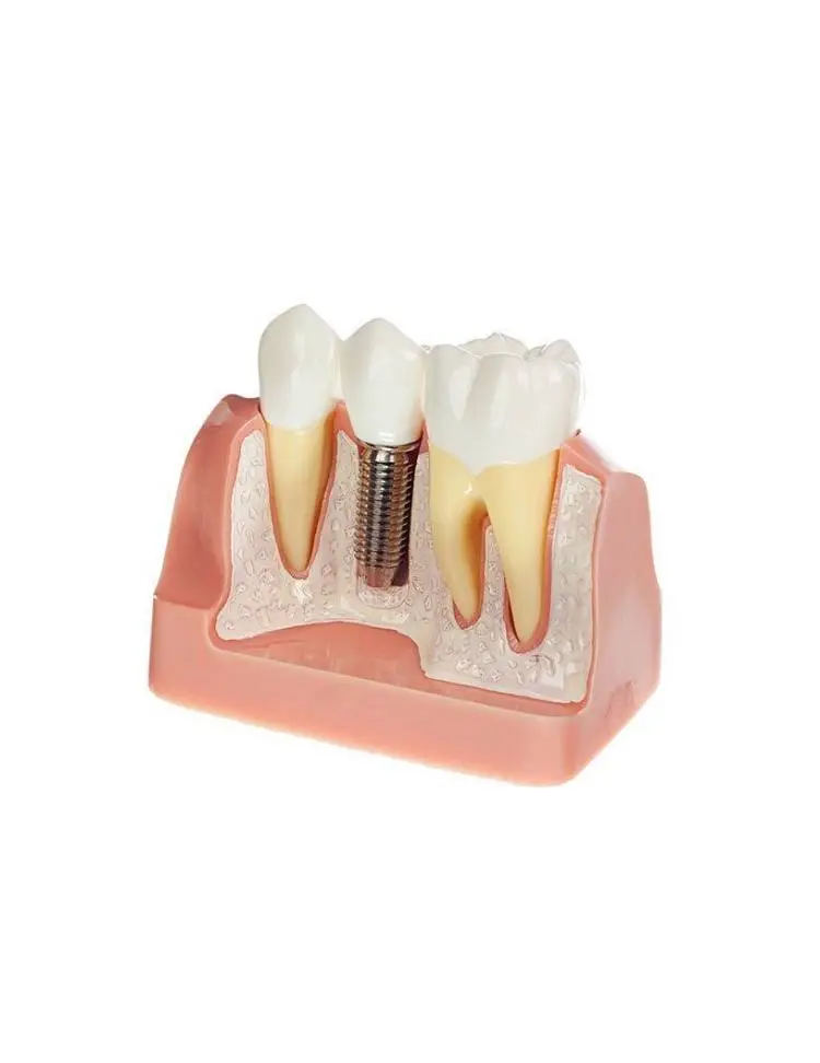 MAC Dental Care