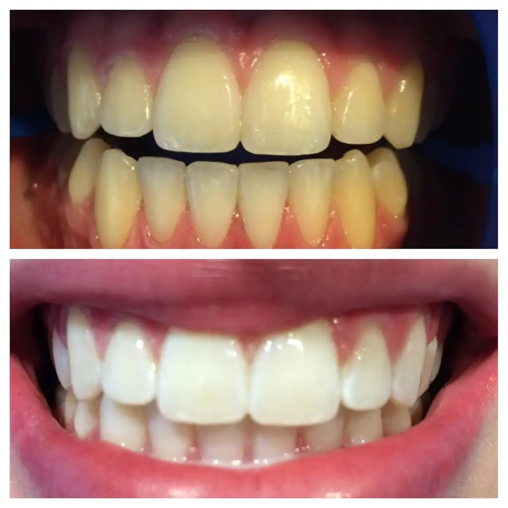 MAC Dental Care