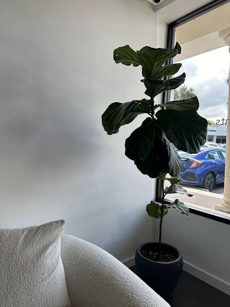 Miami Dental Spa