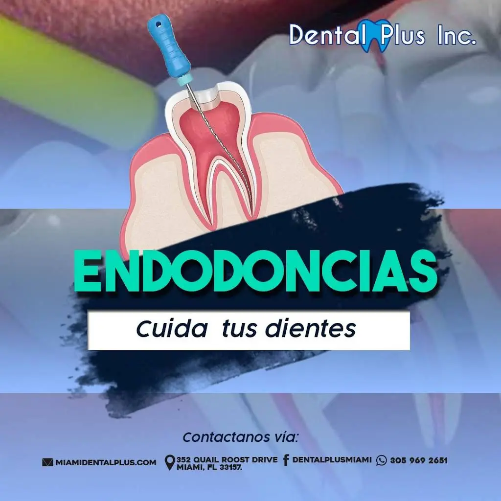 Dental Plus