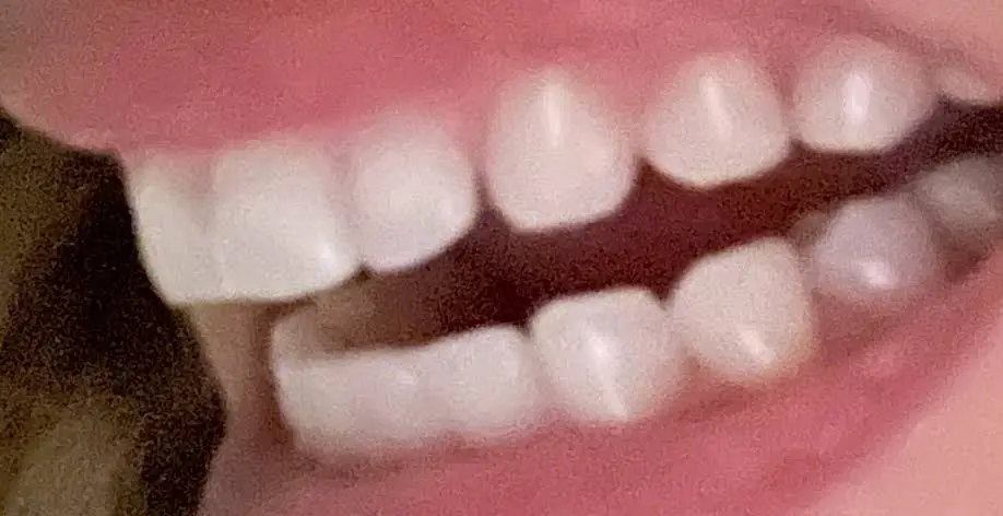 Towncare Dental