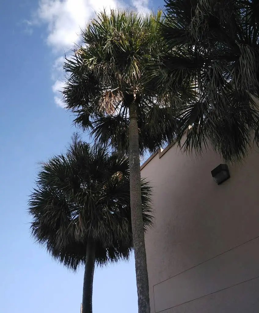 Great Expressions Dental Centers - Professional dental clinic exterior with modern facilities