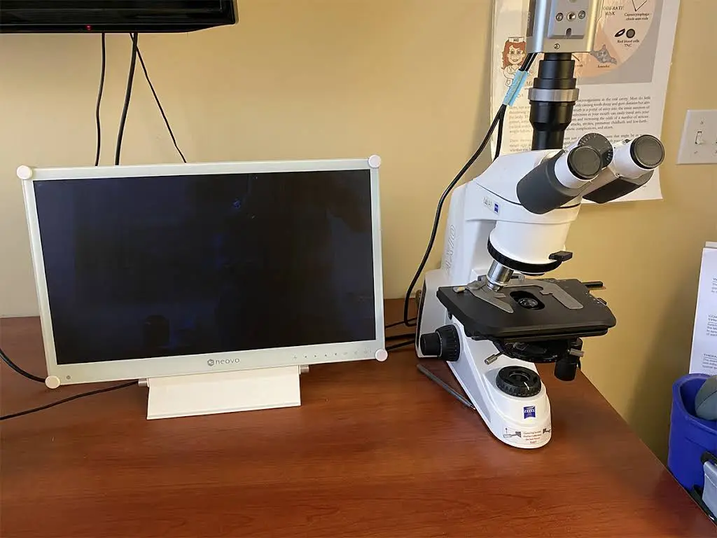 Biodentist Alabama