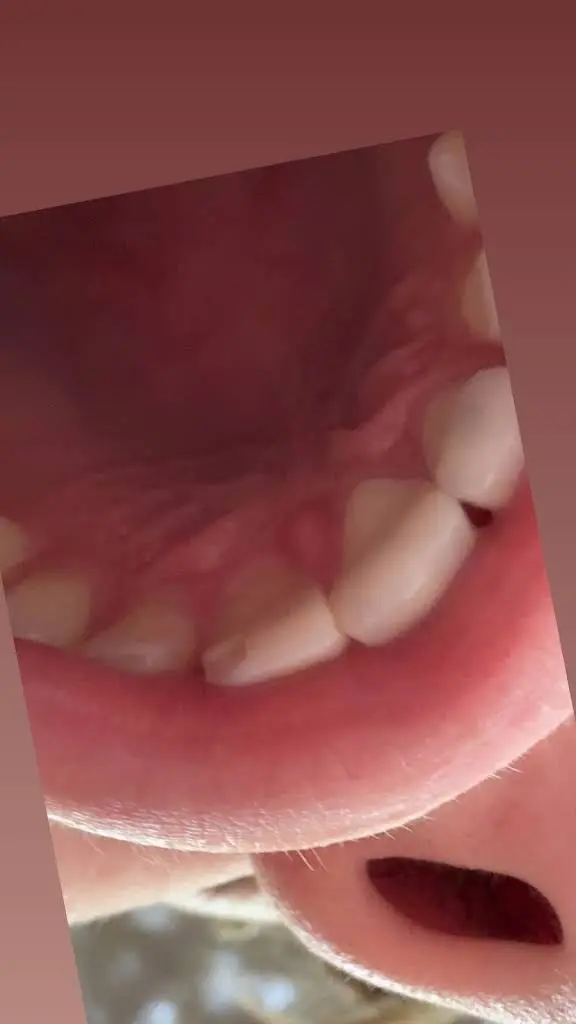 Bay Dental Center