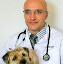 Emanoel Kotev
