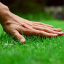 New Earth Landscaping