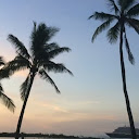 Morning Breeze