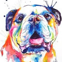 English Bully