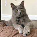 Sholpan Luna