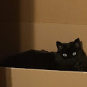KitKat