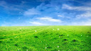 Natasa’s Nature