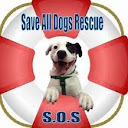 Save all dogs rescue