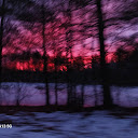 Dawn Lomax