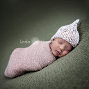 Linda Hawkins Photography